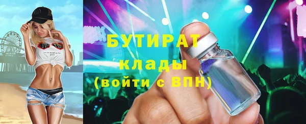 дживик Няндома