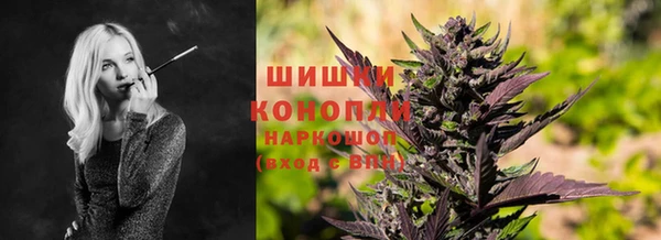 дживик Няндома