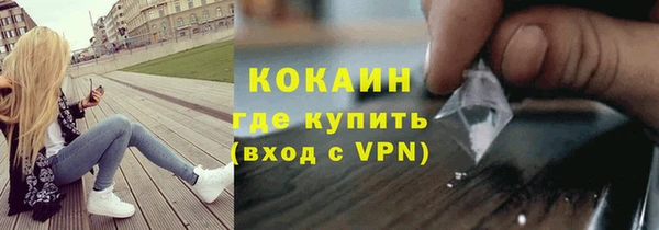 дживик Няндома