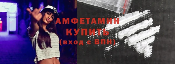 дживик Няндома
