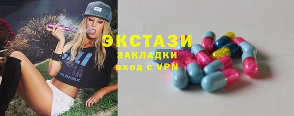 дживик Няндома