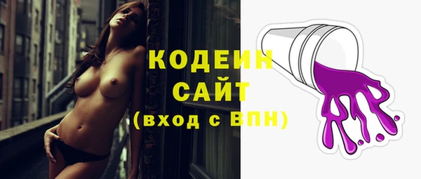 дживик Няндома