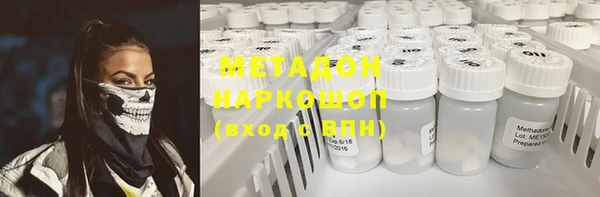 дживик Няндома