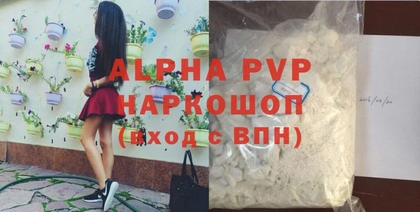 дживик Няндома