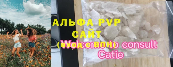 дживик Няндома