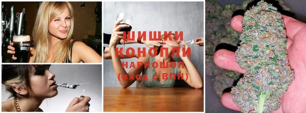 мдпв Ветлуга