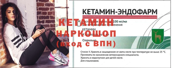 дживик Няндома