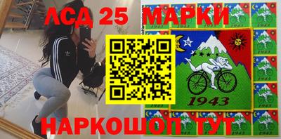 шишки Кингисепп