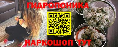 шишки Кингисепп