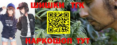 шишки Кингисепп