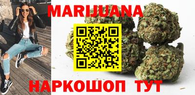 шишки Кингисепп