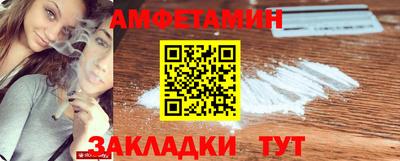 шишки Кингисепп