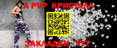 шишки Кингисепп