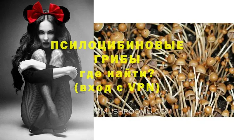 Галлюциногенные грибы MAGIC MUSHROOMS  Коряжма 