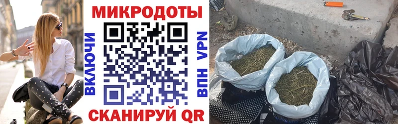 Галлюциногенные грибы Psilocybe хочу наркоту Коряжма