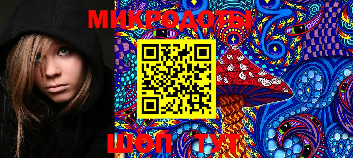 Галлюциногенные грибы Cubensis Коряжма