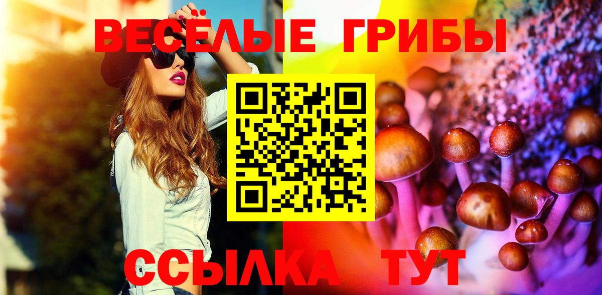 Коряжма  Псилоцибиновые грибы Psilocybe  Псилоцибиновые грибы Cubensis  Вход с VPN 