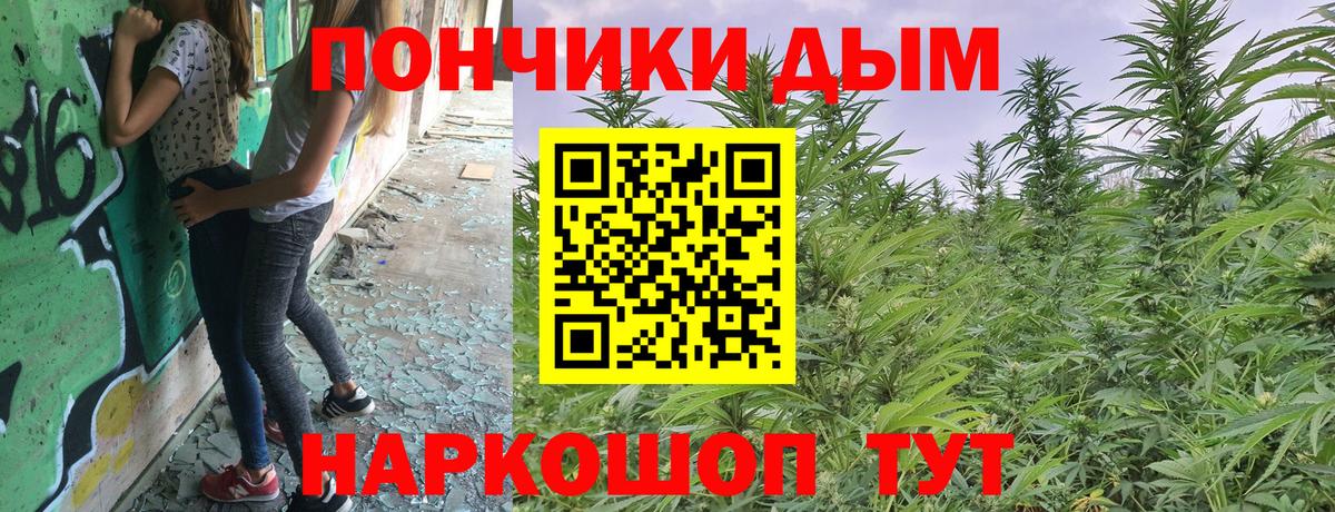 Бошки Шишки AK-47  Вход с VPN  Каннабис LSD WEED  Коряжма  Канабис Bruce Banner  Каннабис SATIVA & INDICA 